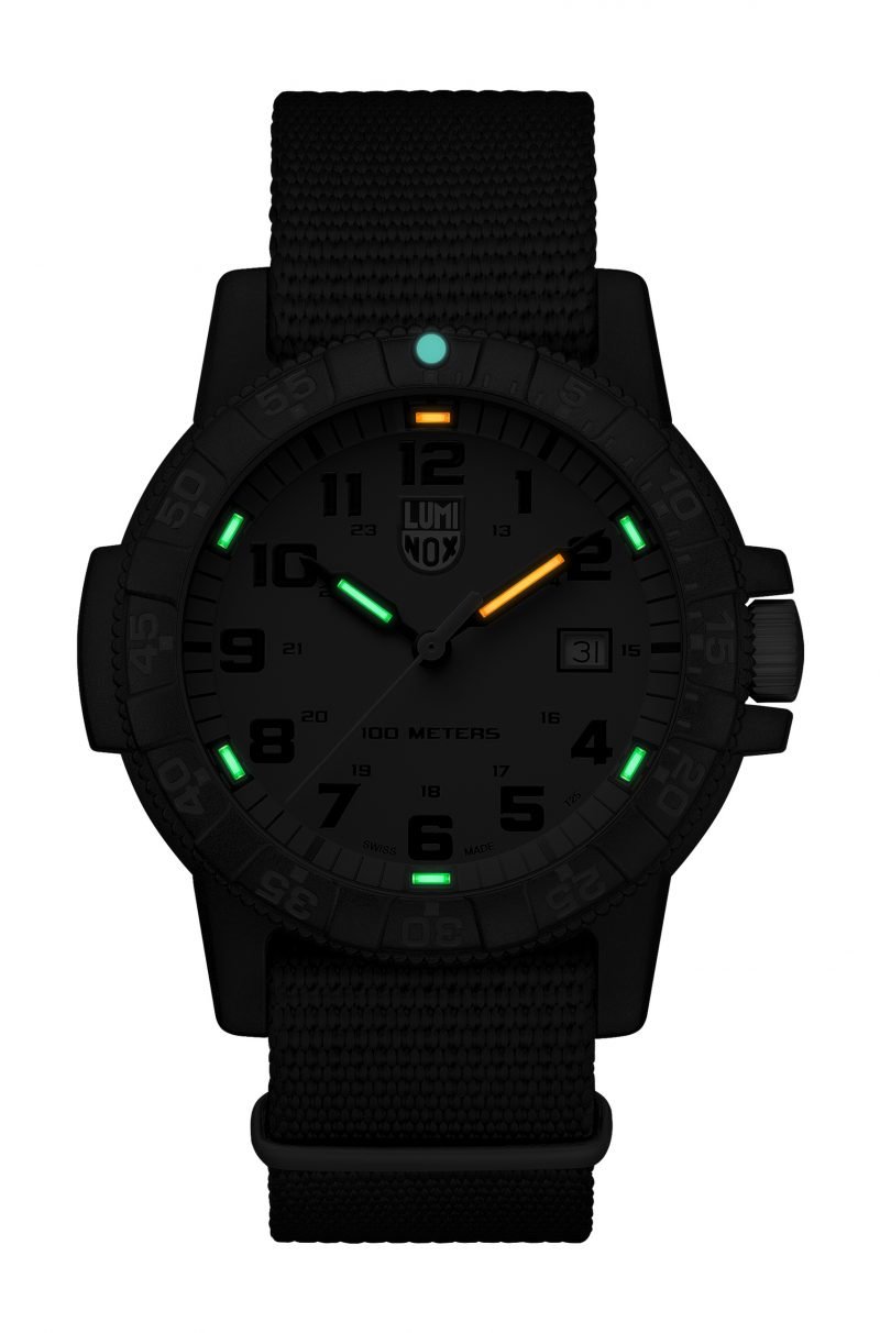 Leatherback Sea Turtle Giant 0320 Series