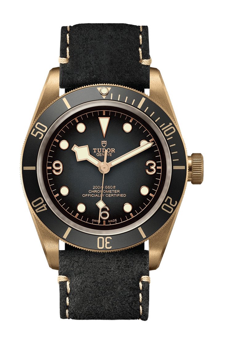 Black Bay Bronze