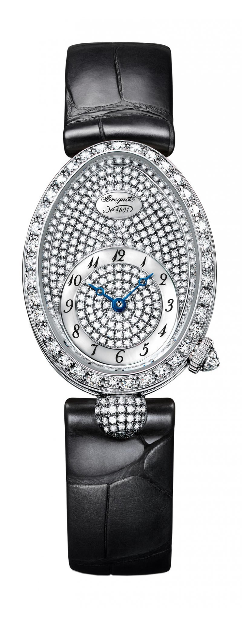 Reine de Naples 8928